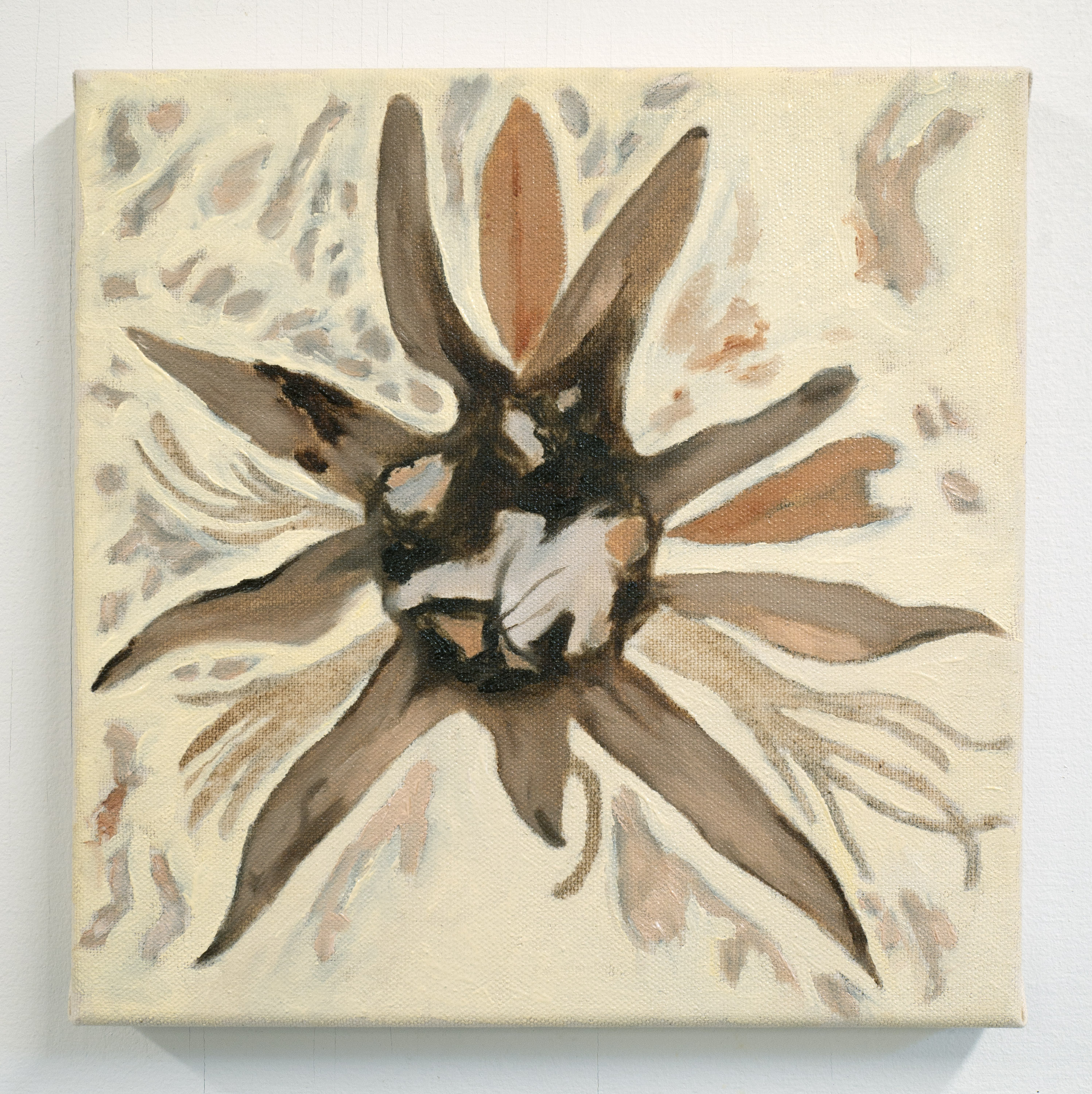 Fossil (blomma)